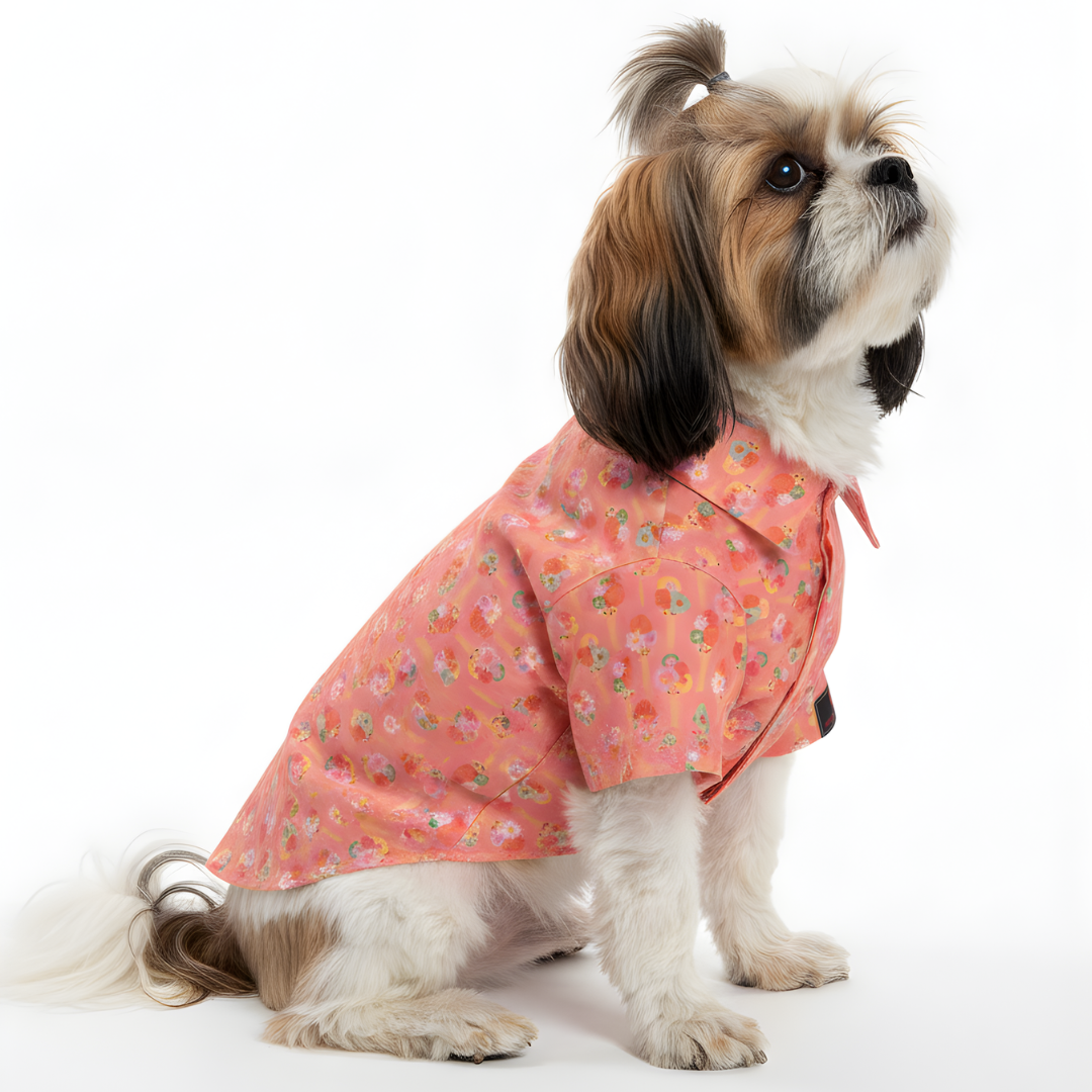 Softy Shirt | Peach | For Dogs | Pawgy Pets