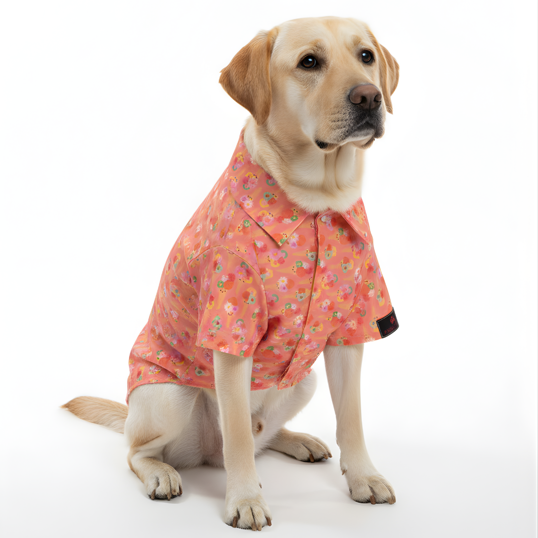 Softy Shirt | Peach | For Dogs | Pawgy Pets