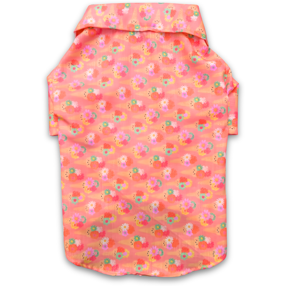 Softy Shirt | Peach | For Dogs | Pawgy Pets