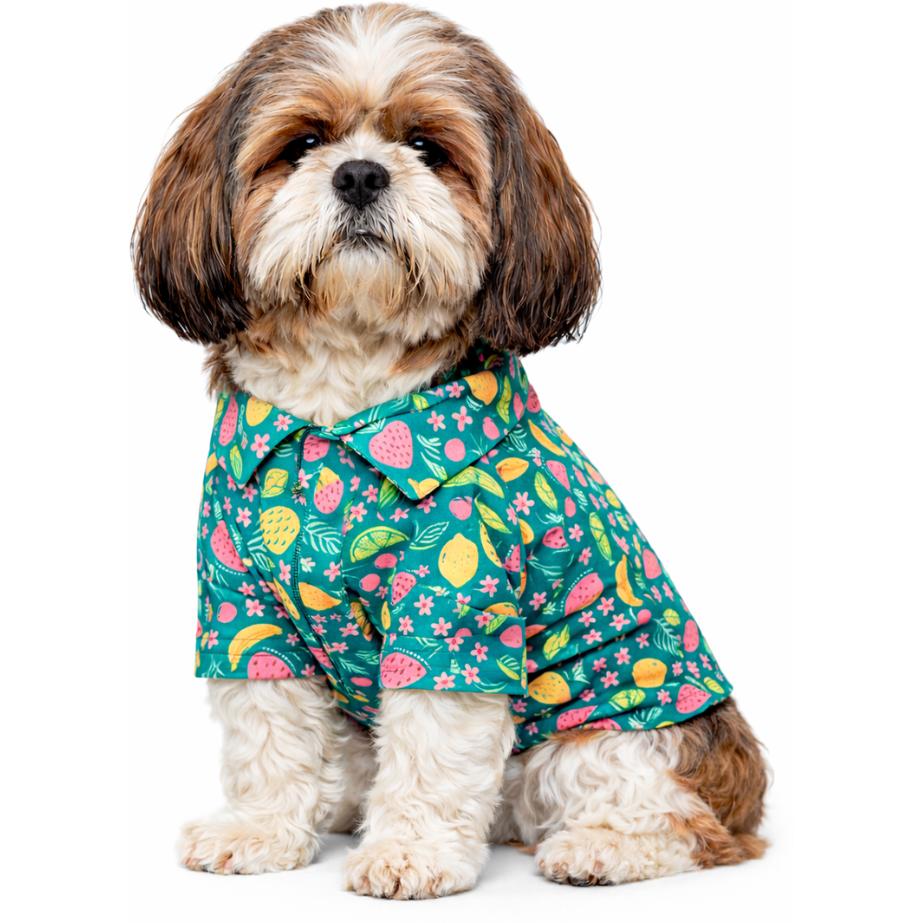 Fruity Shirt | Green | For Dogs | Pawgy Pets