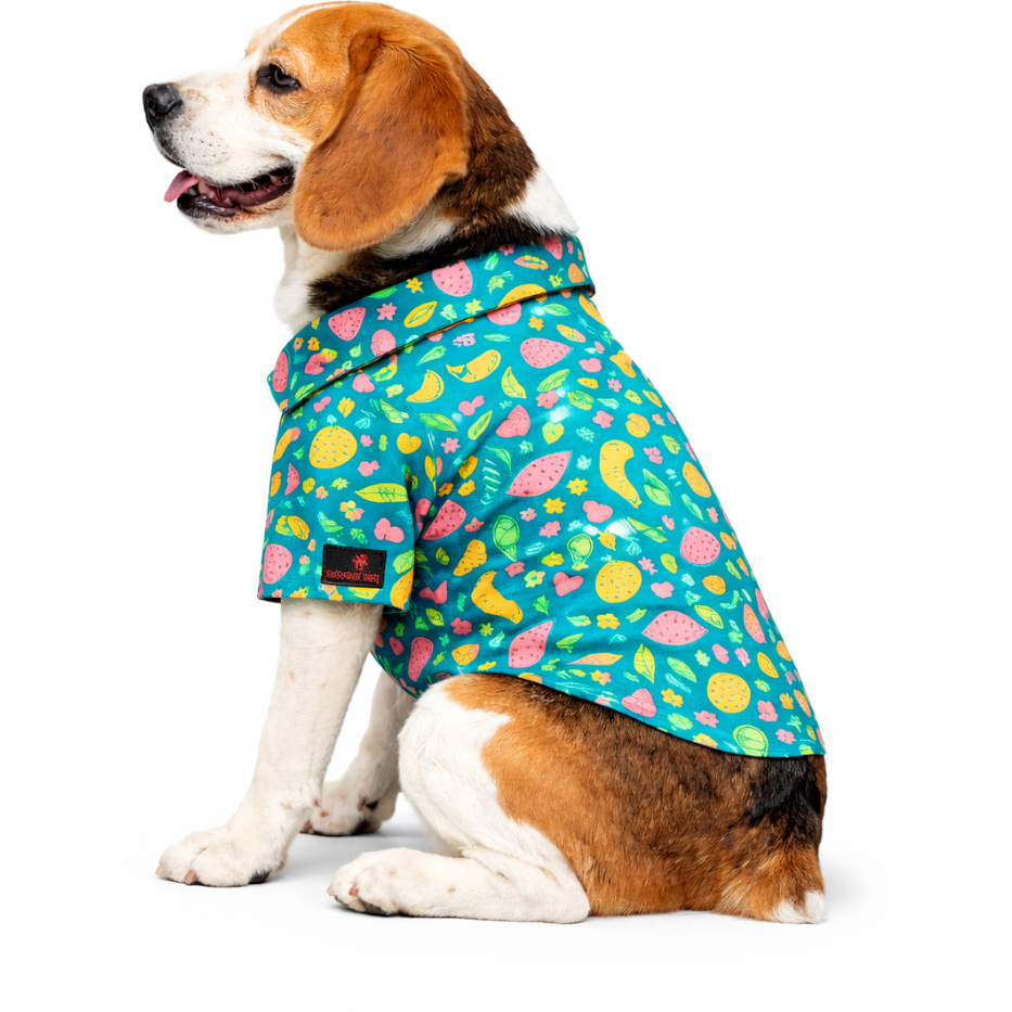 Fruity Shirt | Green | For Dogs | Pawgy Pets
