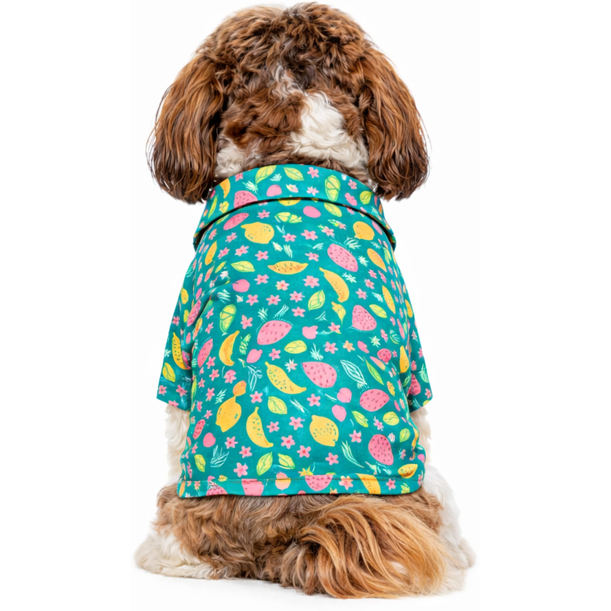 Fruity Shirt | Green | For Dogs | Pawgy Pets