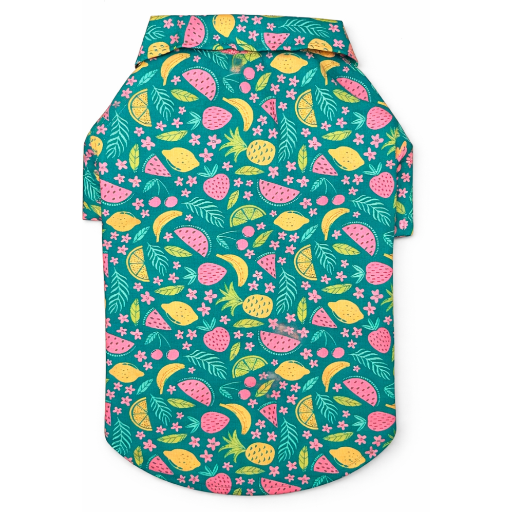 Fruity Shirt | Green | For Dogs | Pawgy Pets