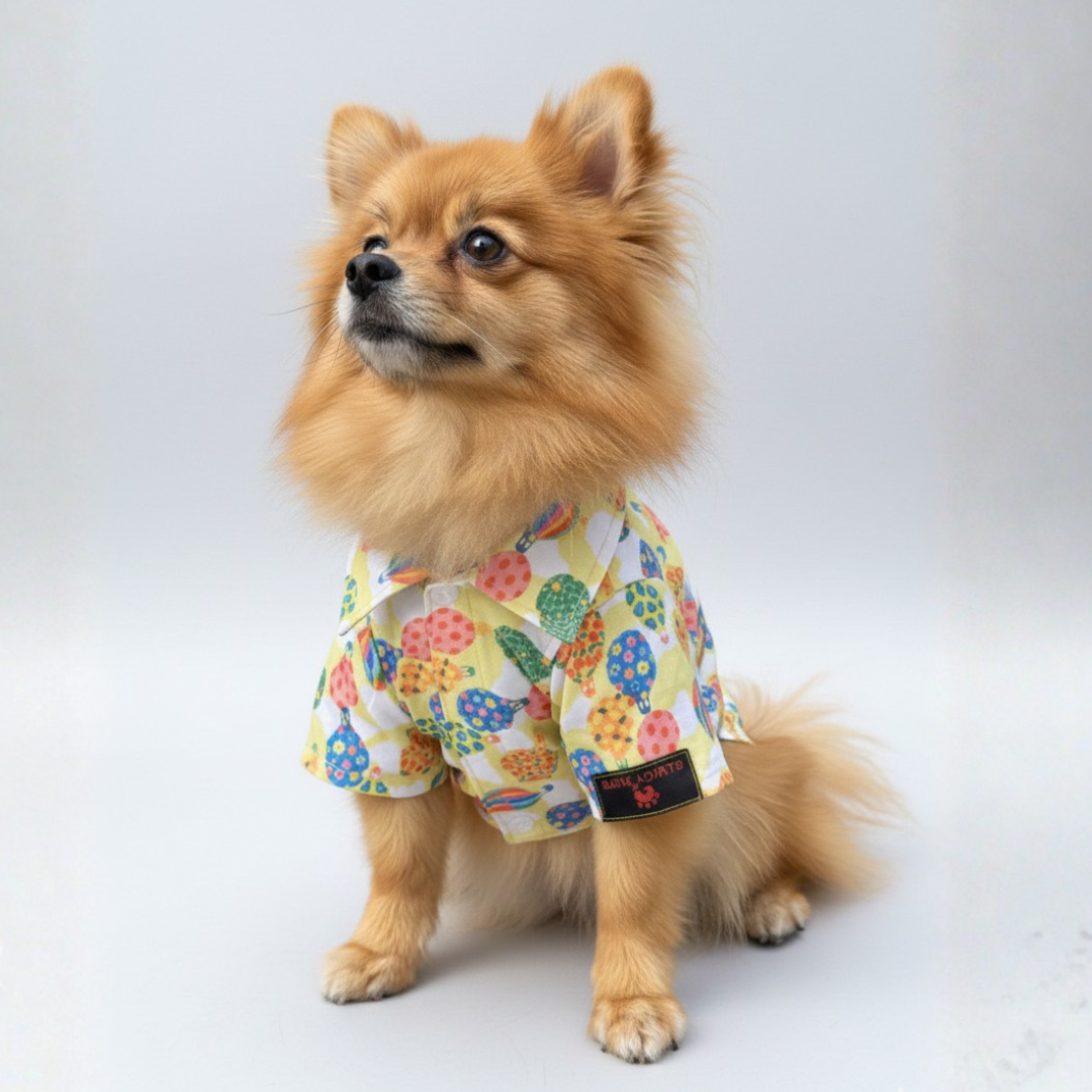 Balloon Shirt | Lime Green | For Dogs | Pawgy Pets