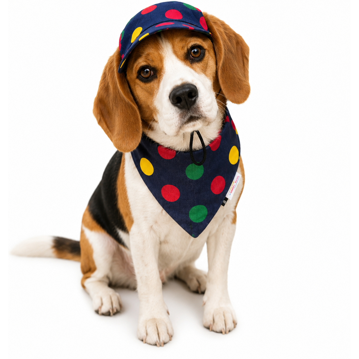 Denim Multi Polka Cap and Bandana Set | For Dogs | Pawgy Pets