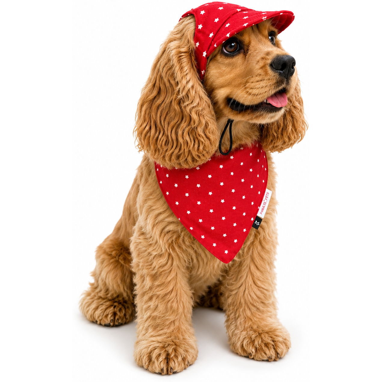 Red Star Cap and Bandana Set | For Dogs | Pawgy Pets