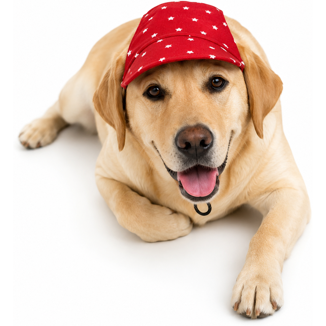 Red Star Cap and Bandana Set | For Dogs | Pawgy Pets