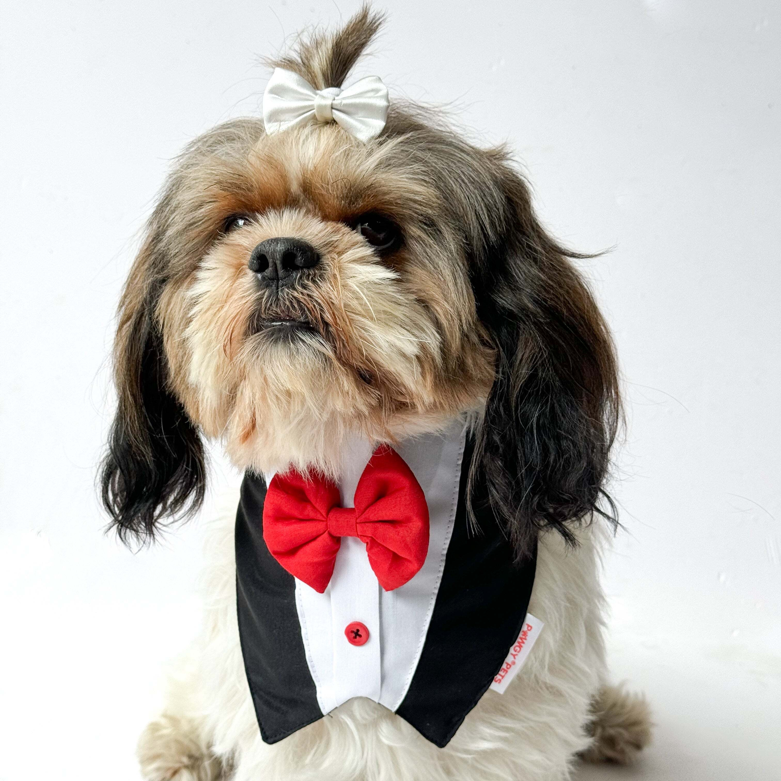 Black Formal Tux Bandana | For Dogs & Cats | Pawgy Pets