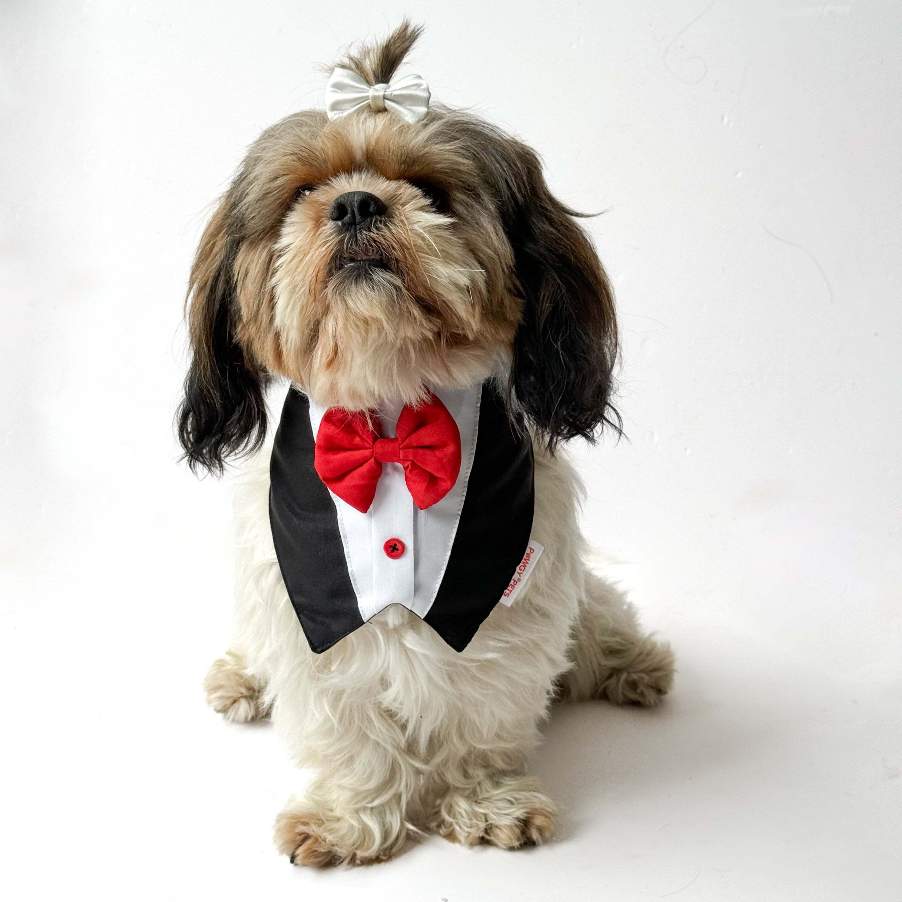 Black Formal Tux Bandana | For Dogs & Cats | Pawgy Pets