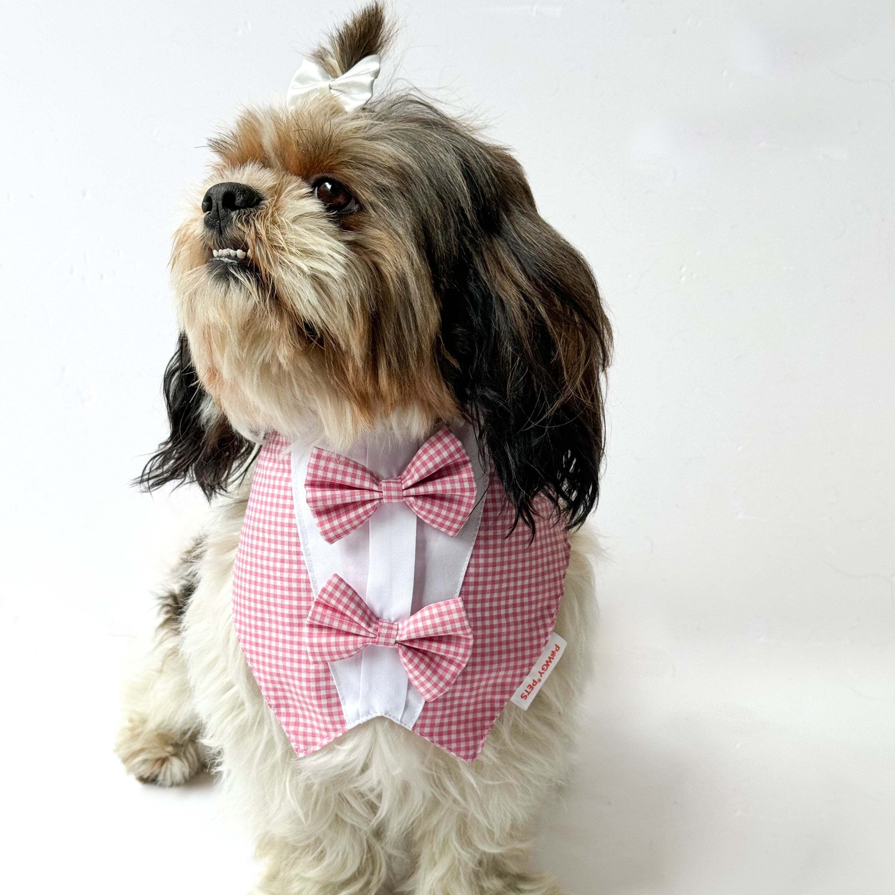 Casual Check Bandana Pink | For Dogs & Cats | Pawgy Pets
