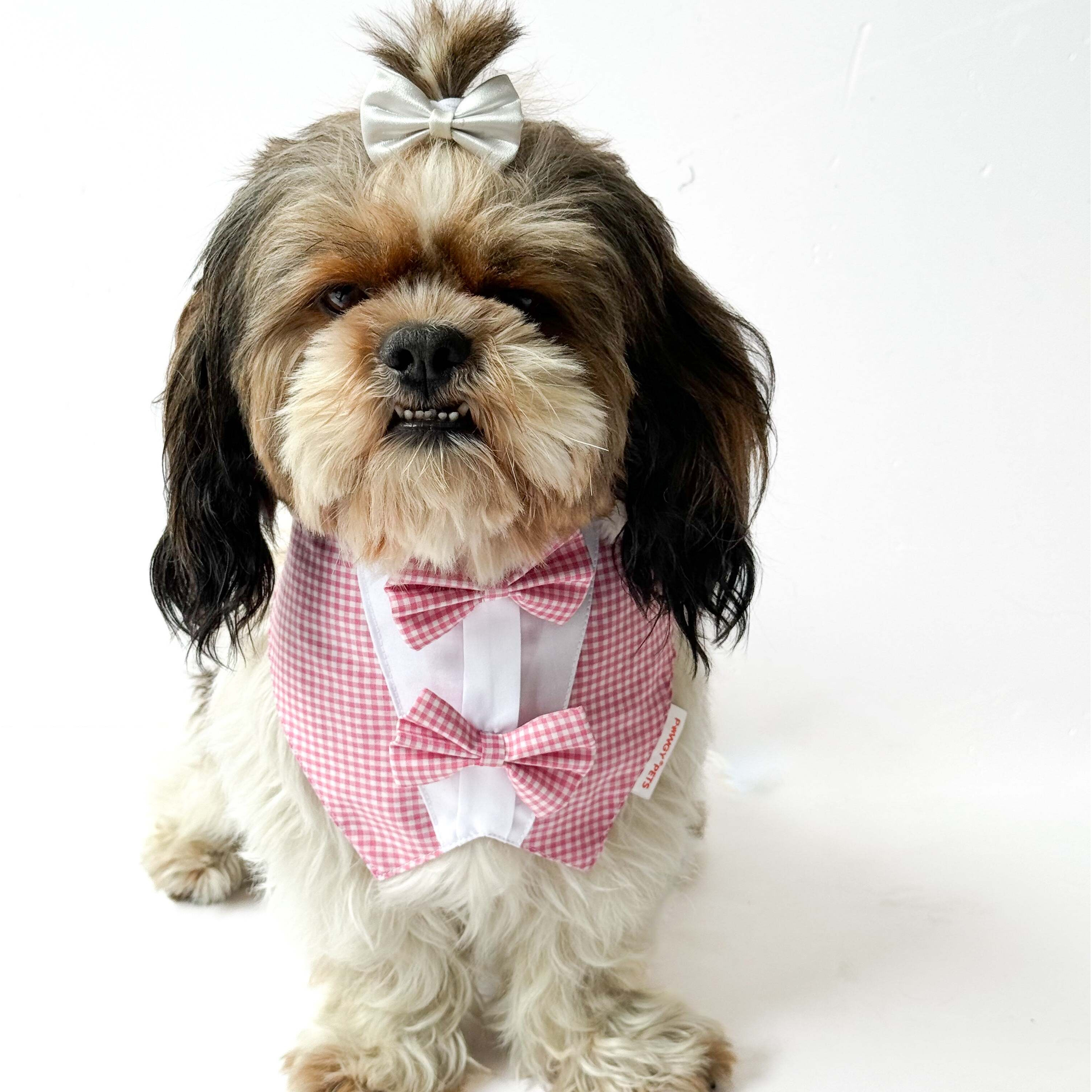 Casual Check Bandana Pink | For Dogs & Cats | Pawgy Pets