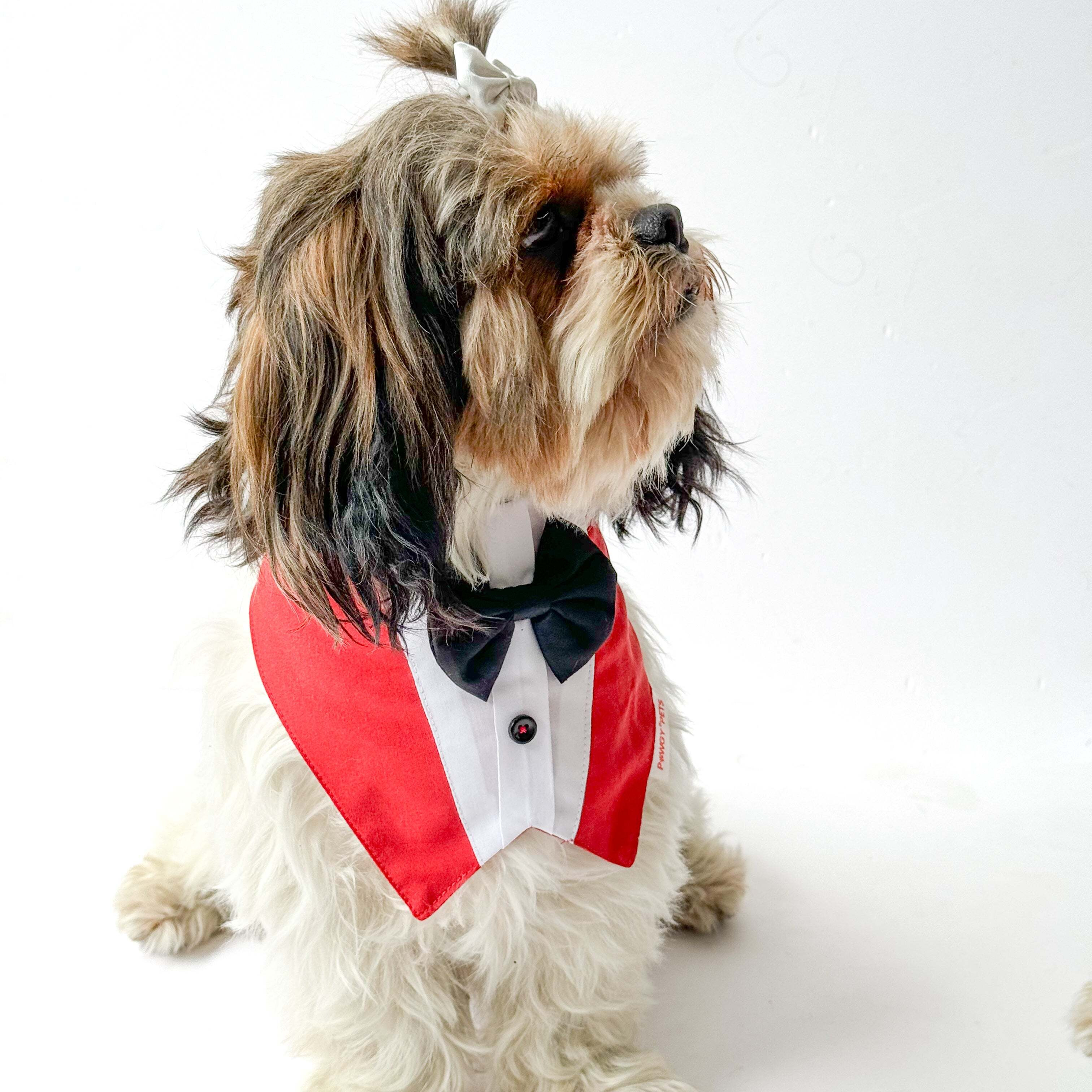 Red Formal Tux Bandana | For Dogs & Cats | Pawgy Pets