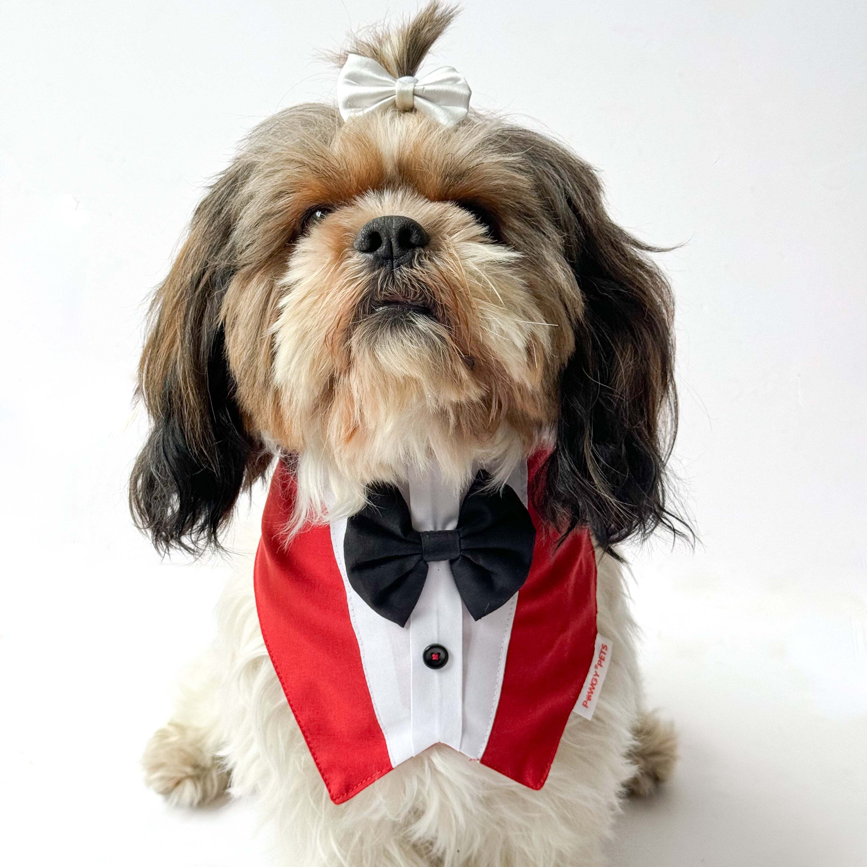 Red Formal Tux Bandana | For Dogs & Cats | Pawgy Pets