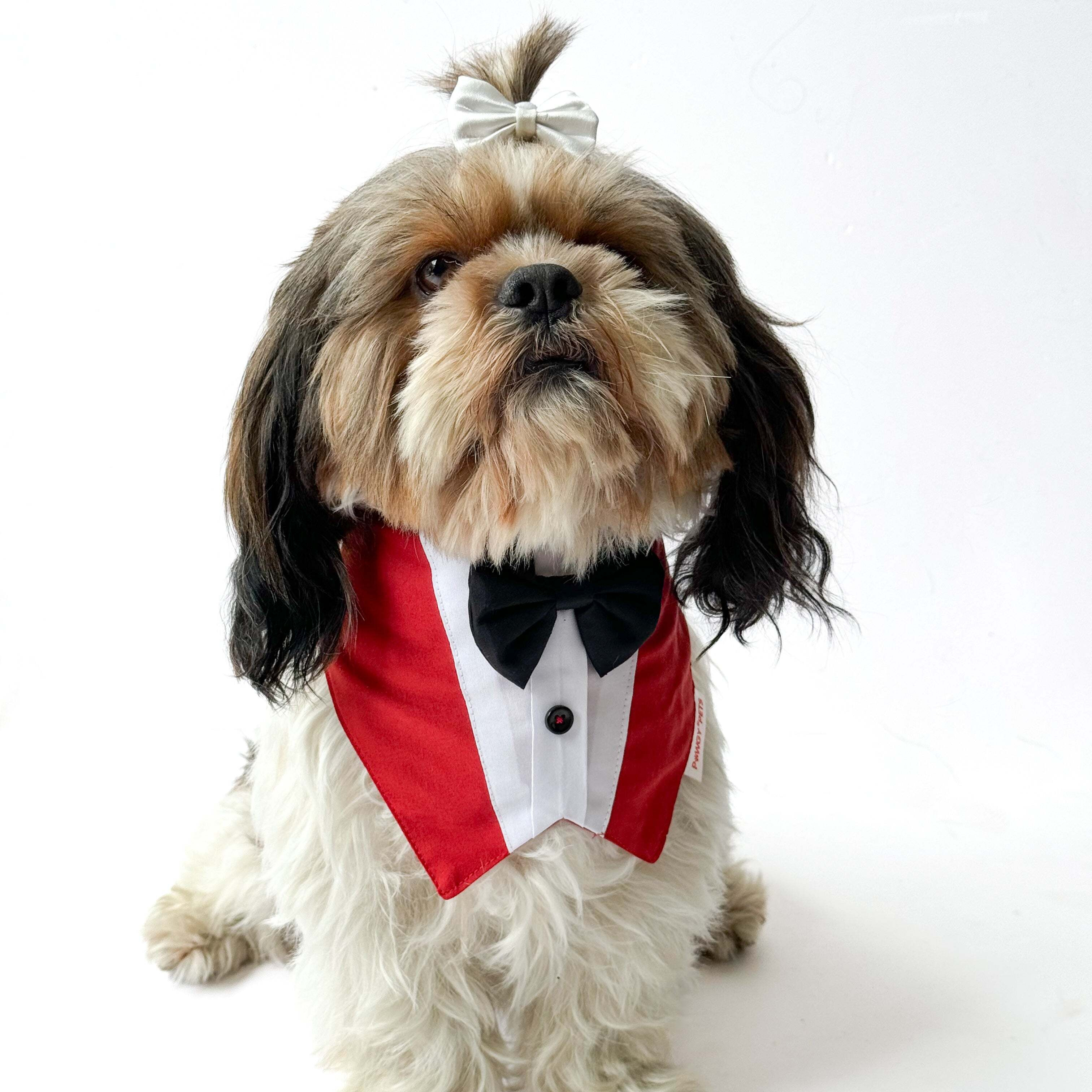 Red Formal Tux Bandana | For Dogs & Cats | Pawgy Pets