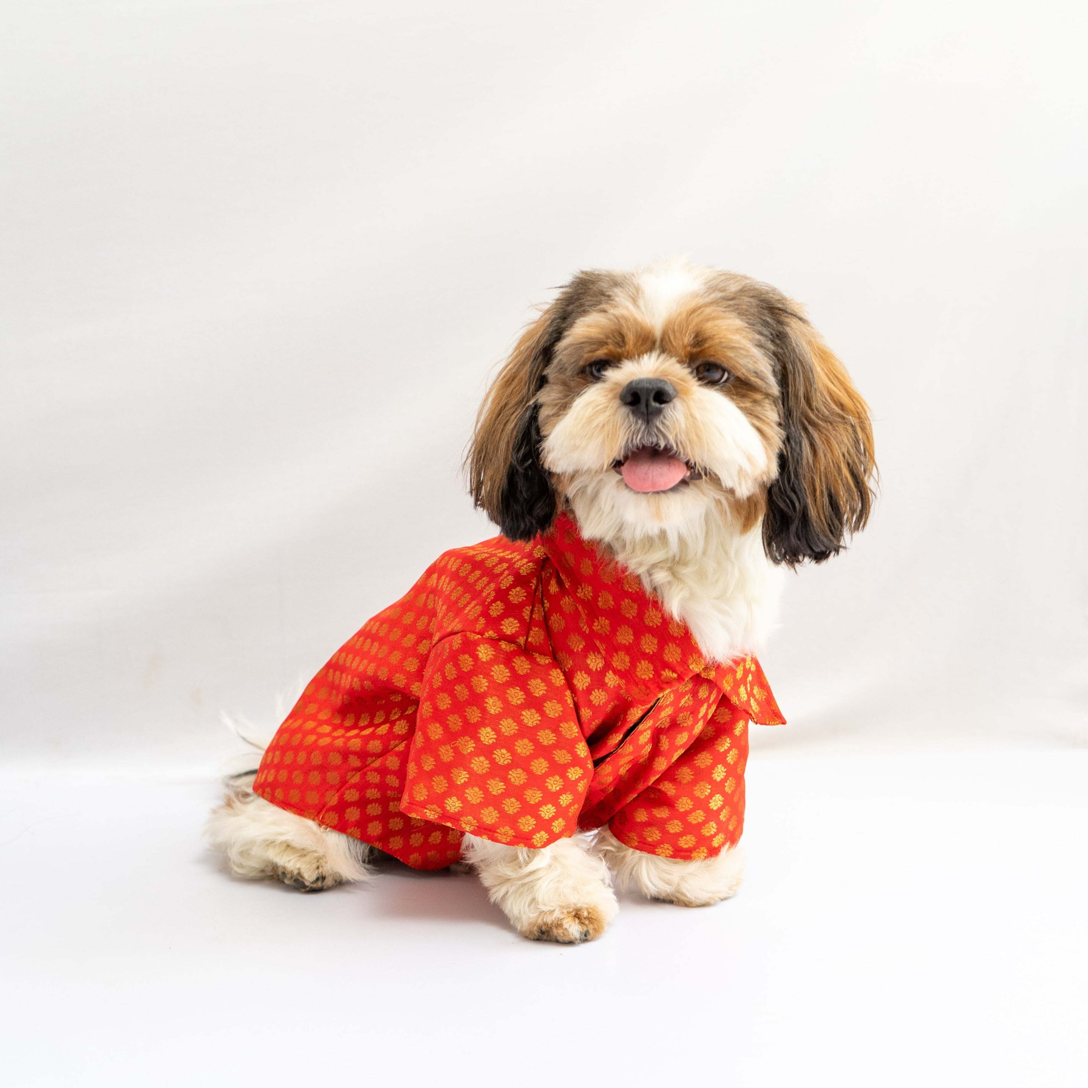 Red Occasion Wear Shirt | For Dogs | Pawgy Pets