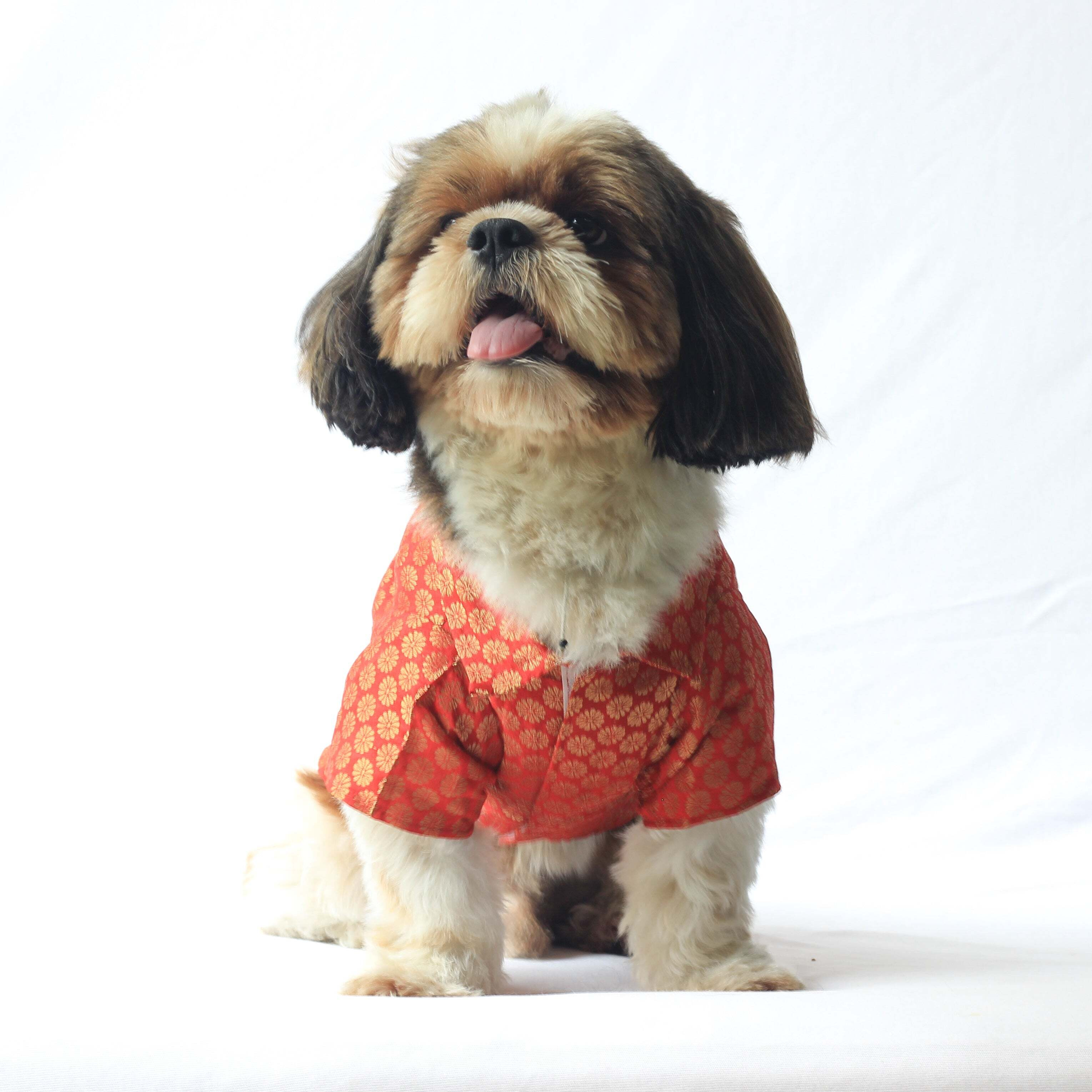 Red Occasion Wear Shirt | For Dogs | Pawgy Pets