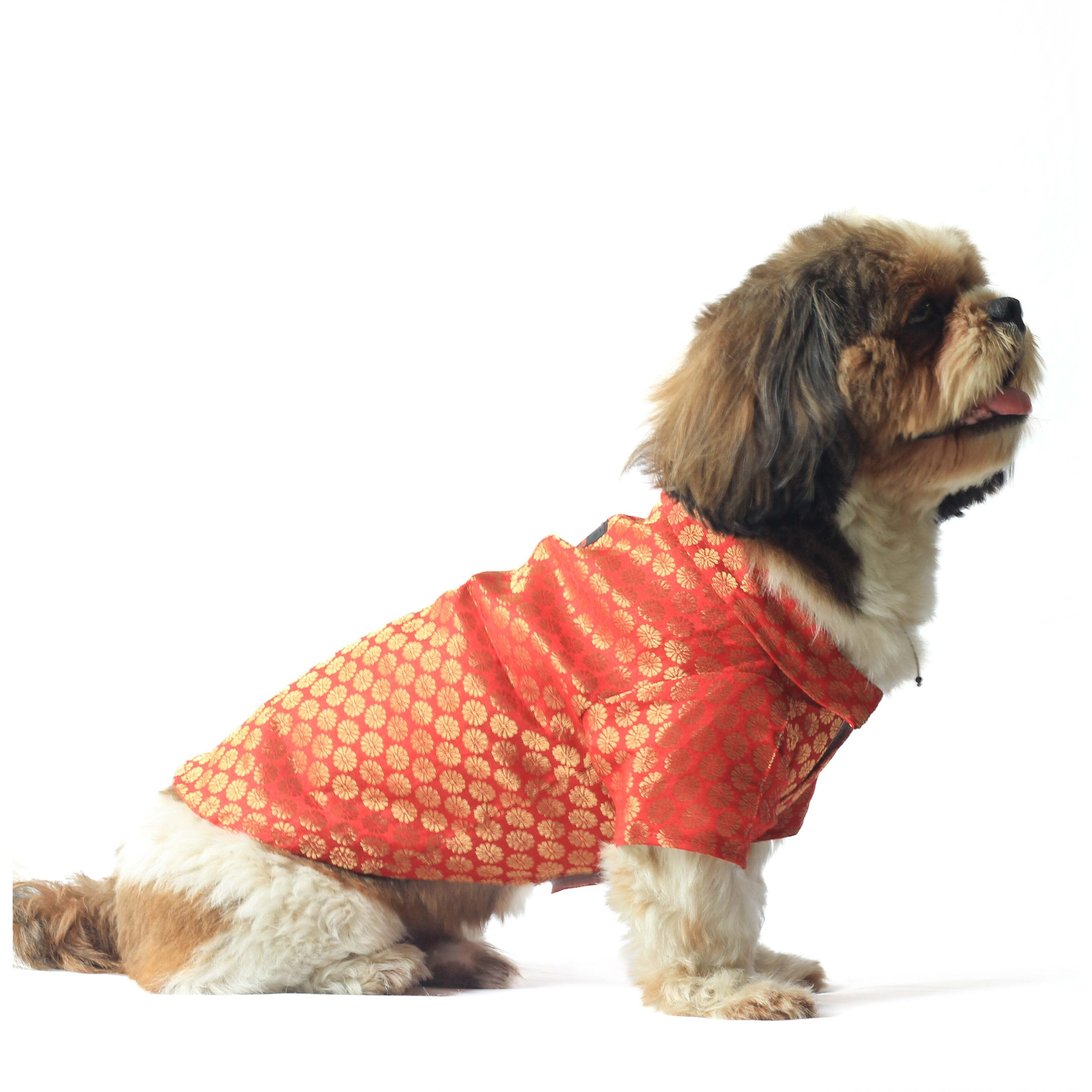 Red Occasion Wear Shirt | For Dogs | Pawgy Pets