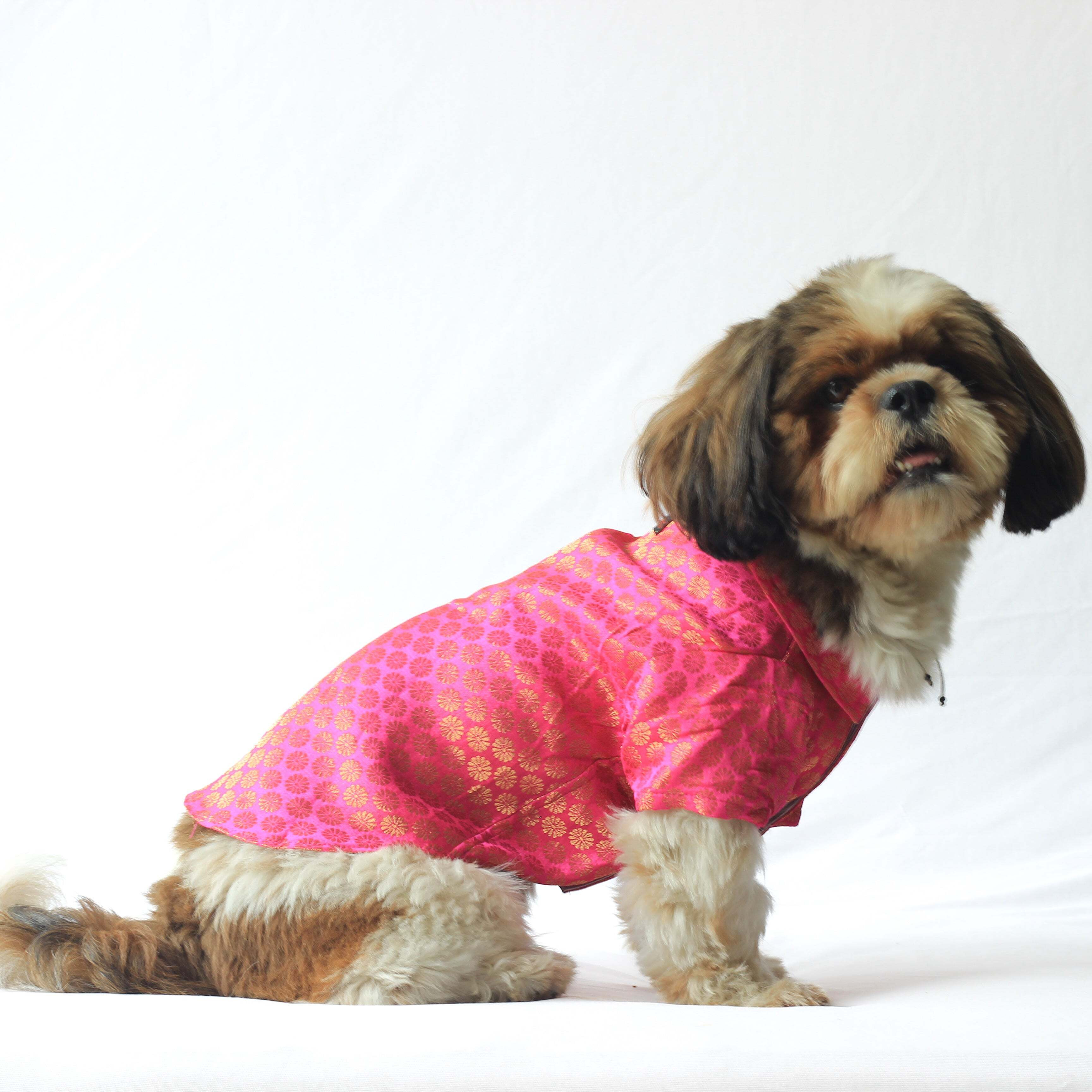 Pink Occasion Wear Shirt | For Dogs | Pawgy Pets