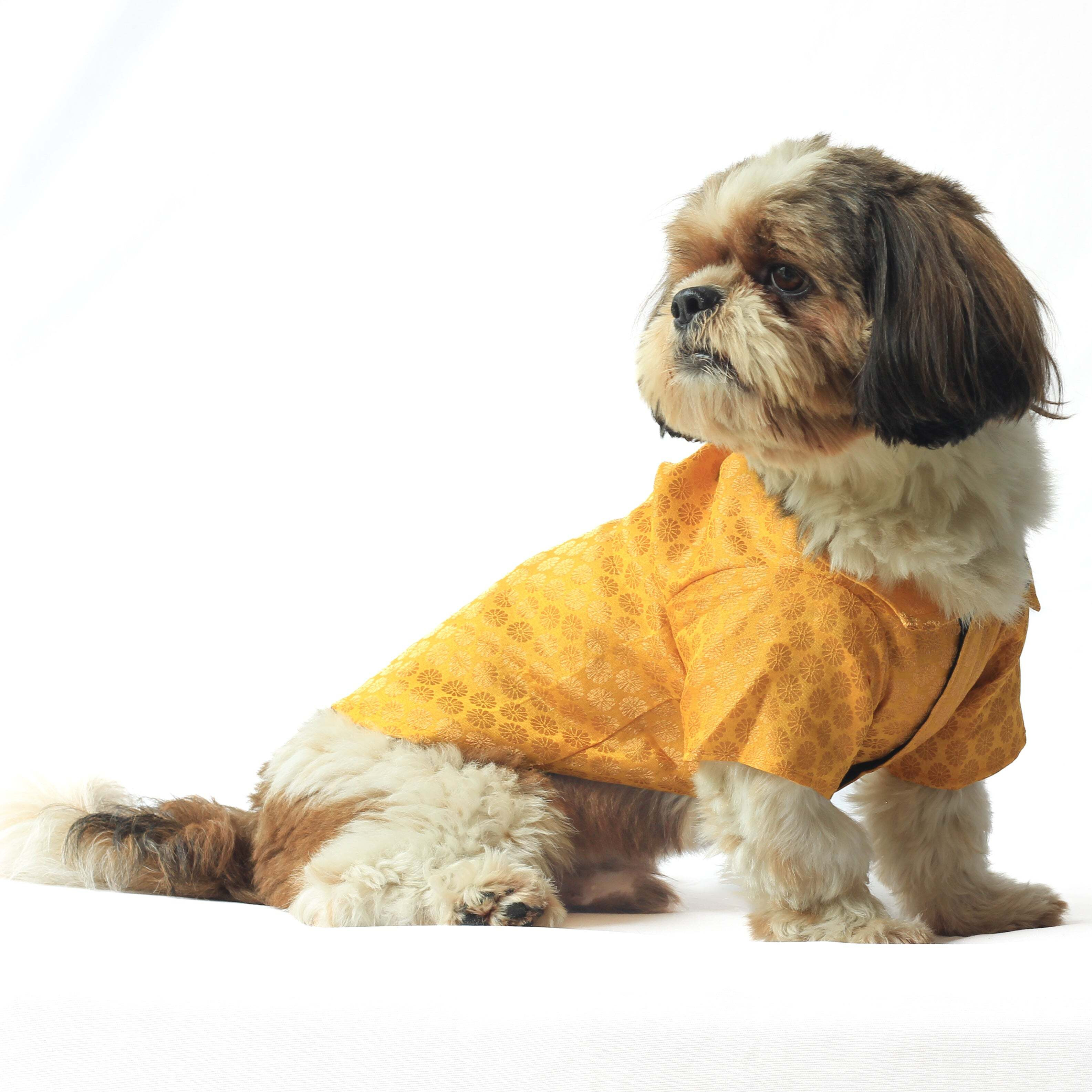 Yellow Occasion Wear Shirt | For Dogs | Pawgy Pets