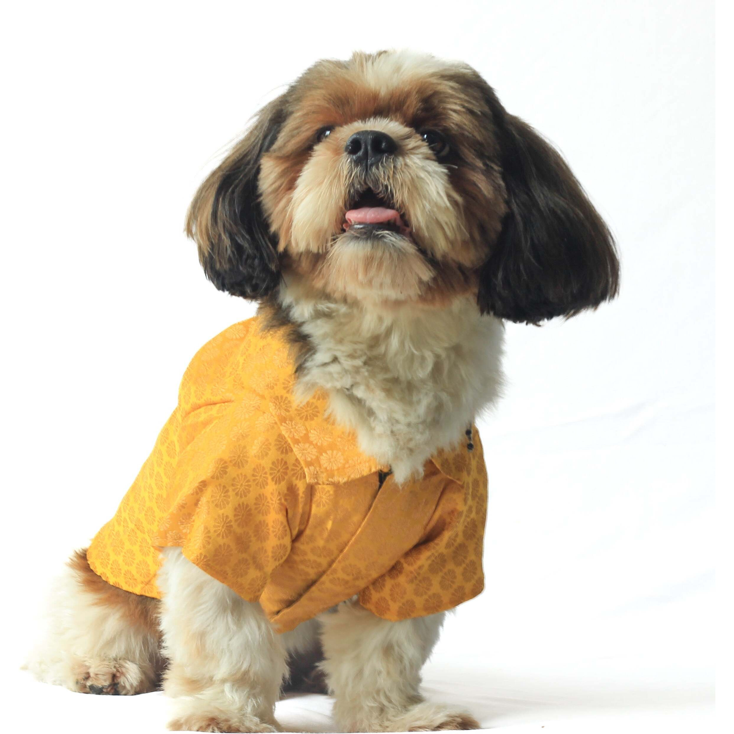 Yellow Occasion Wear Shirt | For Dogs | Pawgy Pets