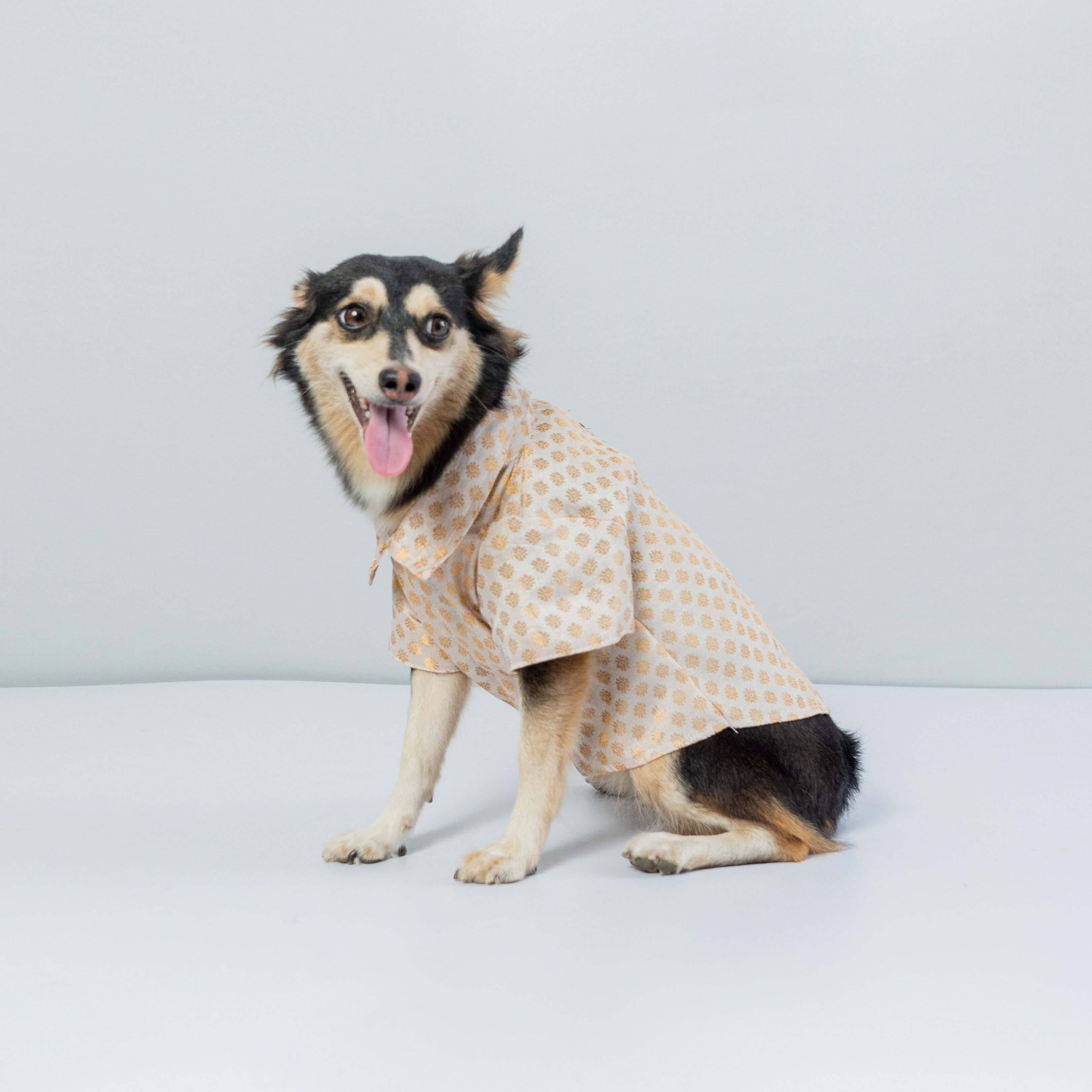 White Occasion Wear Shirt | For Dogs | Pawgy Pets