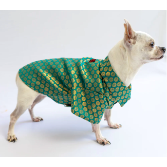 Teal Occasion Wear Shirt | For Dogs | Pawgy Pets
