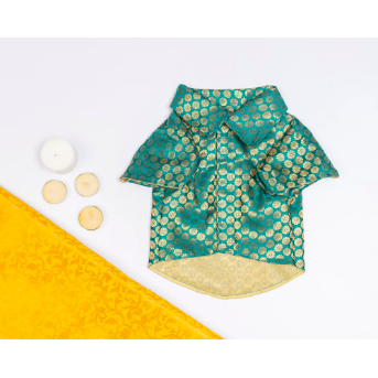 Teal Occasion Wear Shirt | For Dogs | Pawgy Pets