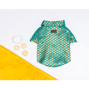 Teal Occasion Wear Shirt | For Dogs | Pawgy Pets
