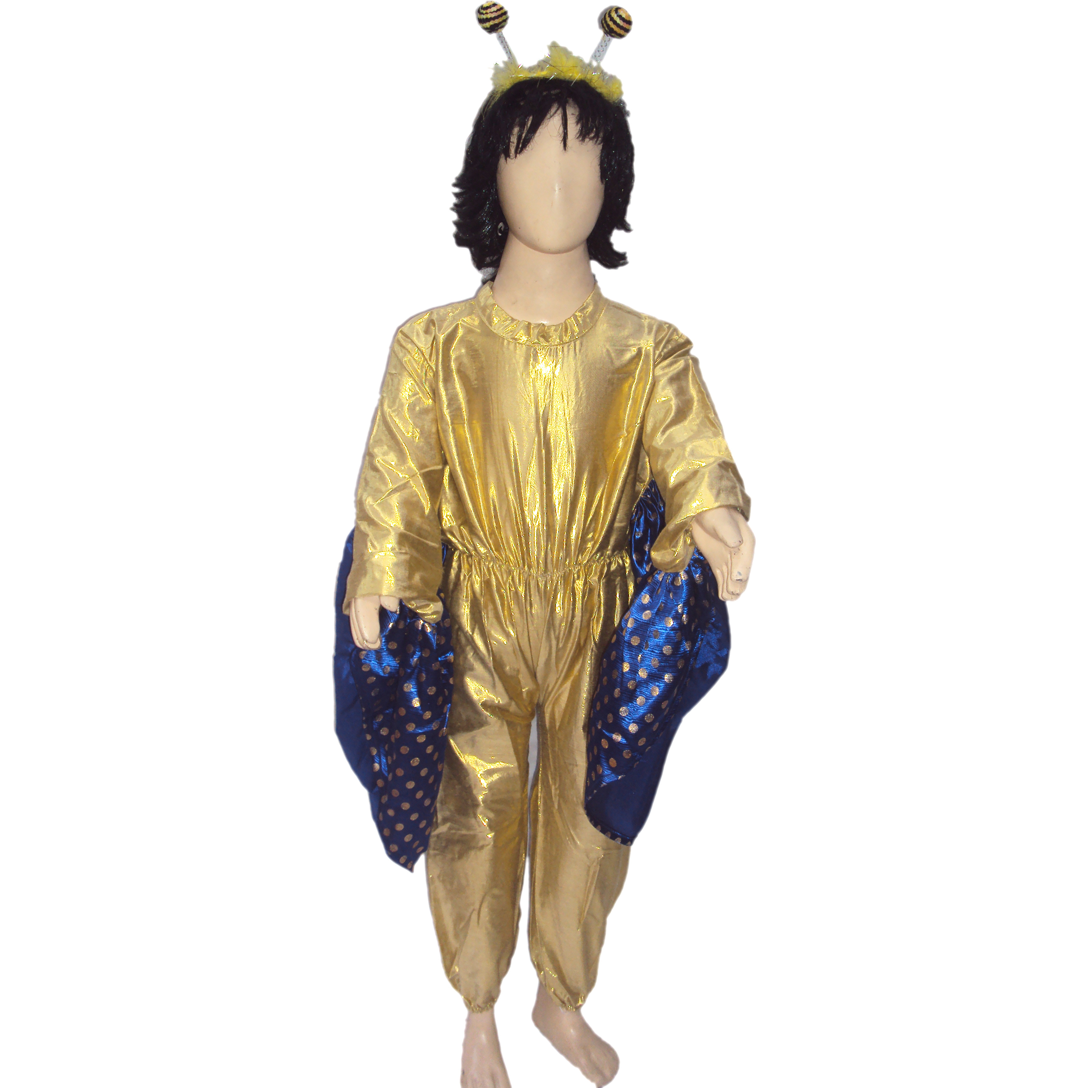 KFD Butterfly Boy fancy dress for kids,Insect Costume for School Annual Function/Theme Party/Competition/Stage Shows Dress