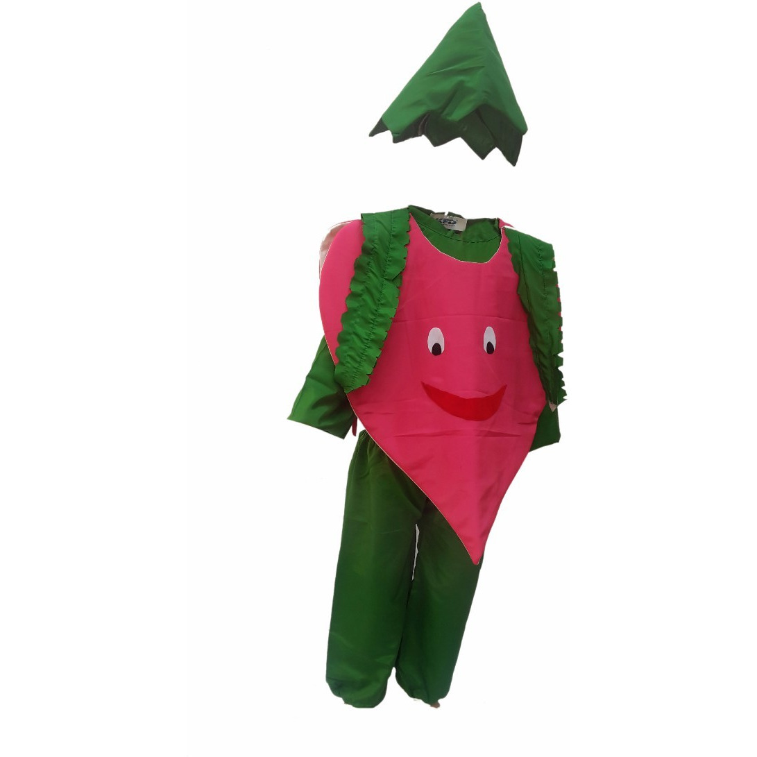 KFD Onion fancy dress for kids,Vegetables Costume for School Annual function/Theme Party/Competition/Stage Shows Dress
