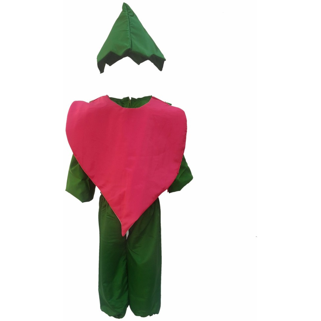 KFD Onion fancy dress for kids,Vegetables Costume for School Annual function/Theme Party/Competition/Stage Shows Dress