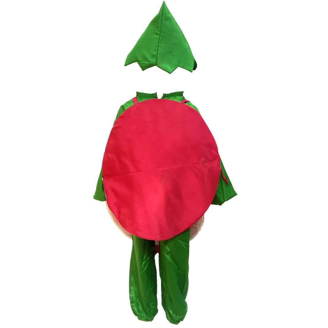 KFD Pomegranate fancy dress for kids,Fruits Costume for School Annual function/Theme Party/Competition/Stage Shows Dress