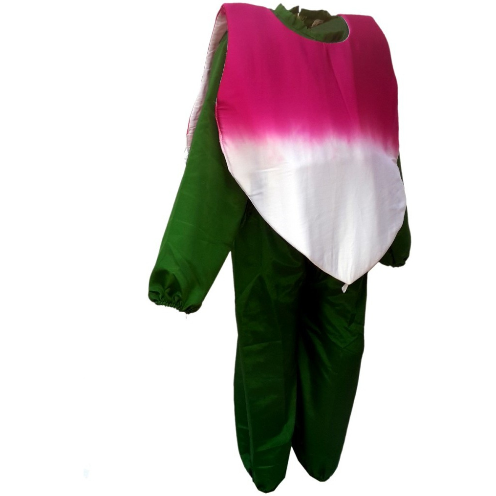 KFD Turnip fancy dress for kids,Vegetables Costume for School Annual function/Theme Party/Competition/Stage Shows Dress