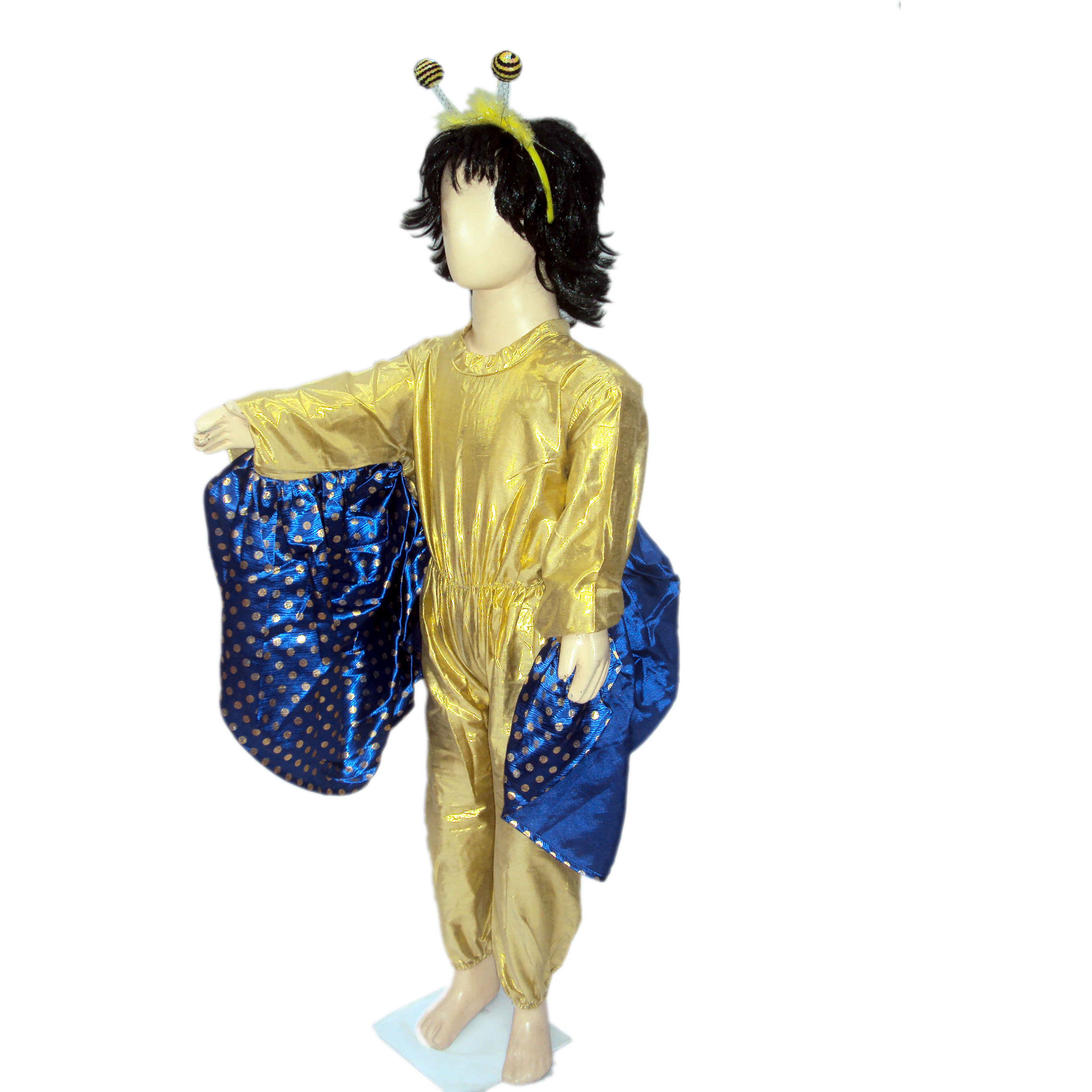 KFD Butterfly Boy fancy dress for kids,Insect Costume for School Annual Function/Theme Party/Competition/Stage Shows Dress