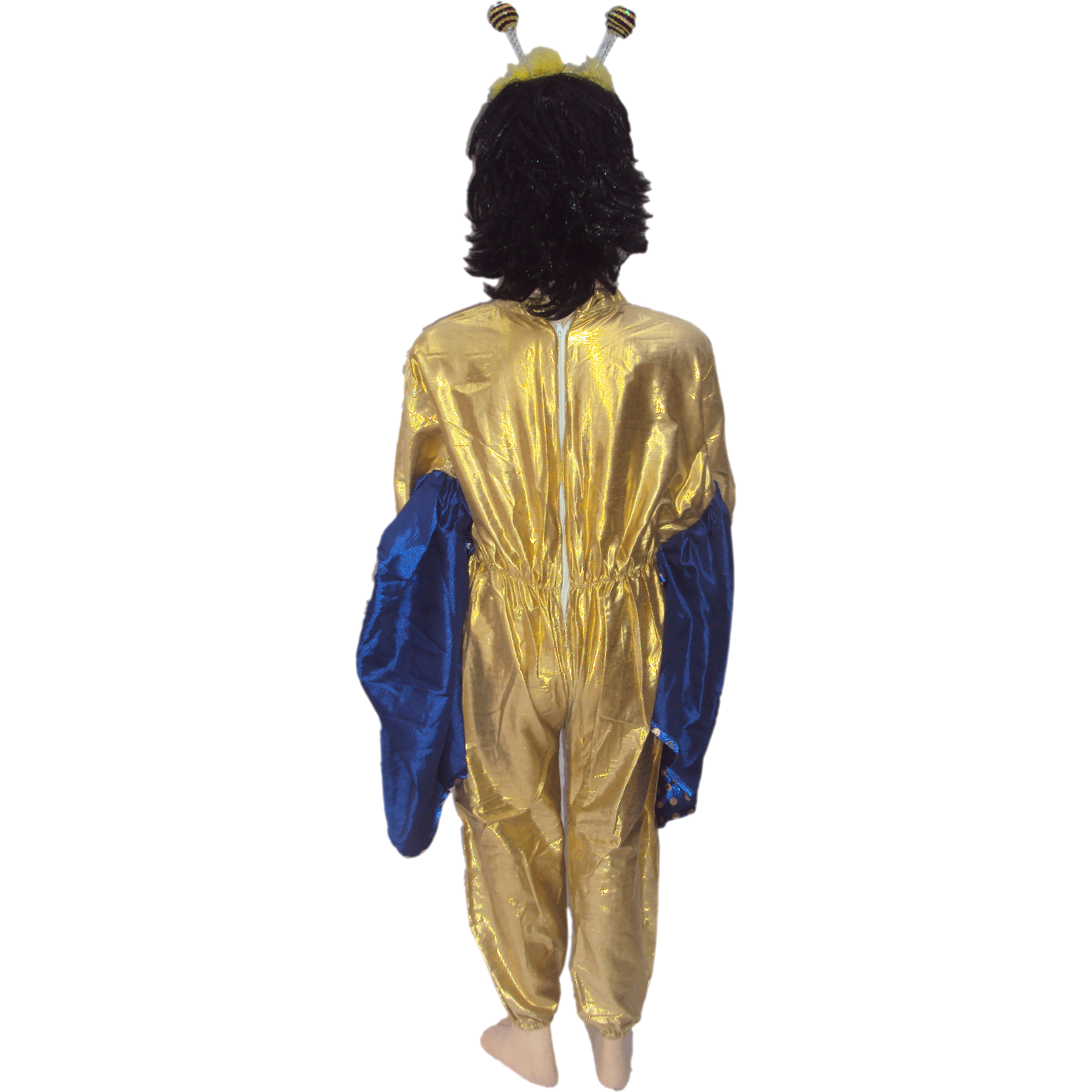 KFD Butterfly Boy fancy dress for kids,Insect Costume for School Annual Function/Theme Party/Competition/Stage Shows Dress