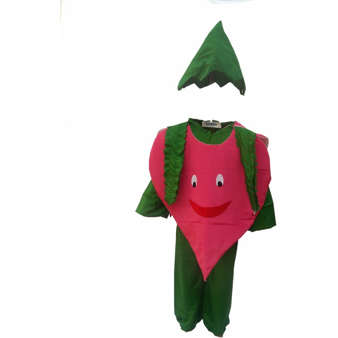 KFD Onion fancy dress for kids,Vegetables Costume for School Annual function/Theme Party/Competition/Stage Shows Dress