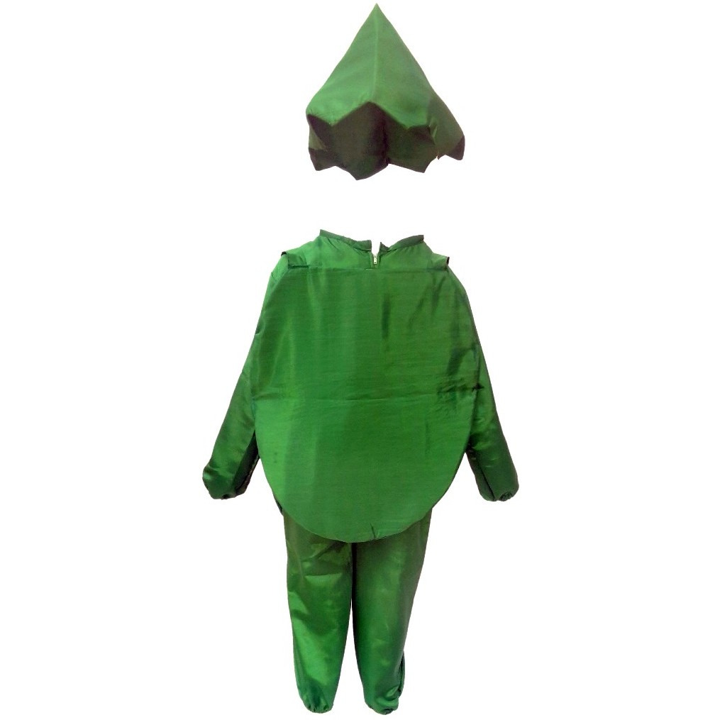 KFD Watermelon fancy dress for kids,Fruits Costume for School Annual function/Theme Party/Competition/Stage Shows Dress