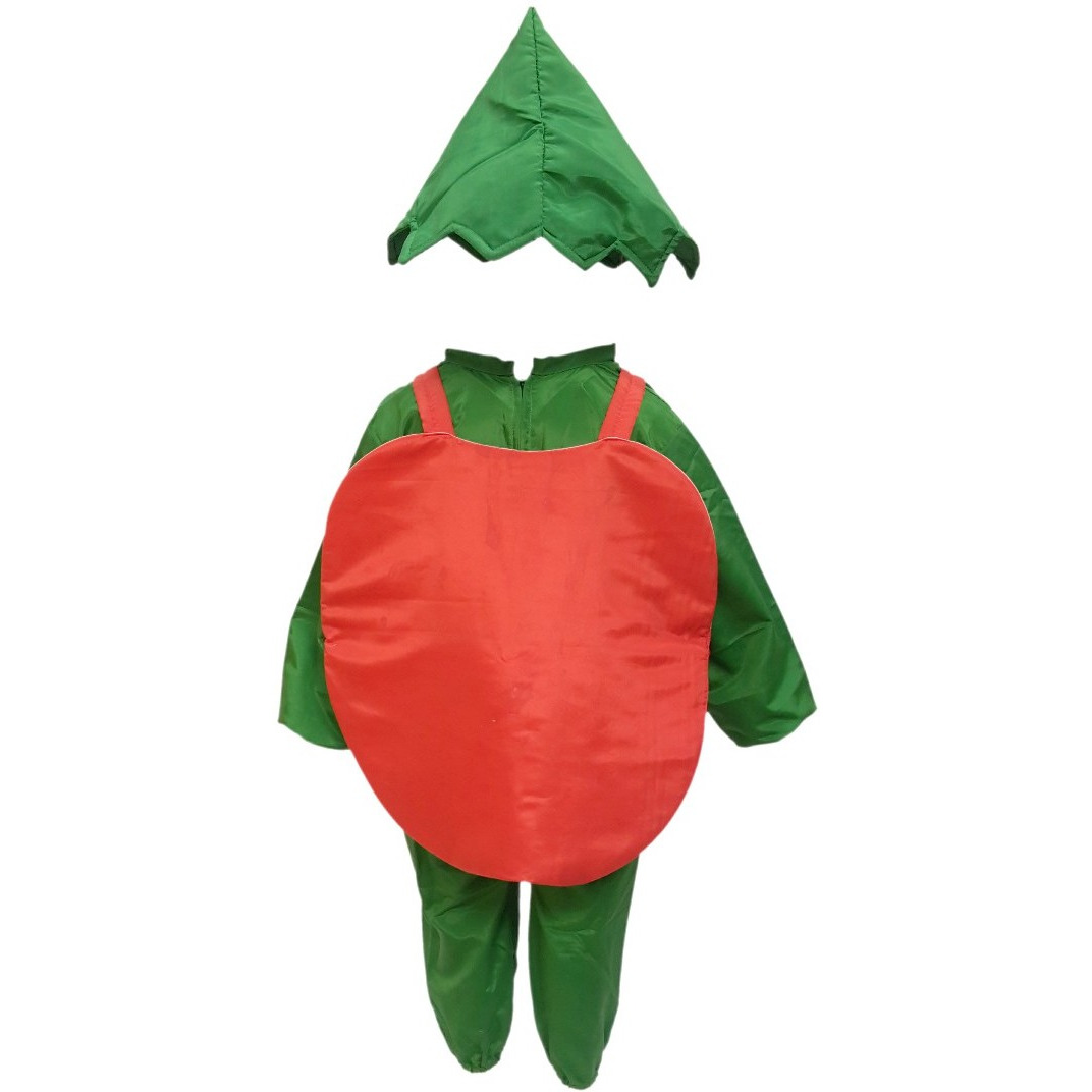 KFD Apple fancy dress for kids,Fruits Costume for School Annual function/Theme Party/Competition/Stage Shows Dress