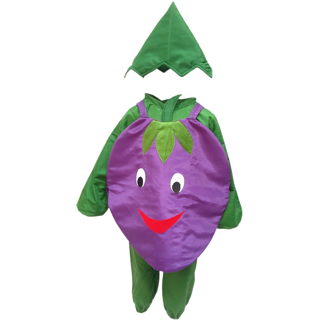 KFD Brinjal fancy dress for kids,Vegetables Costume for School Annual function/Theme Party/Competition/Stage Shows Dress