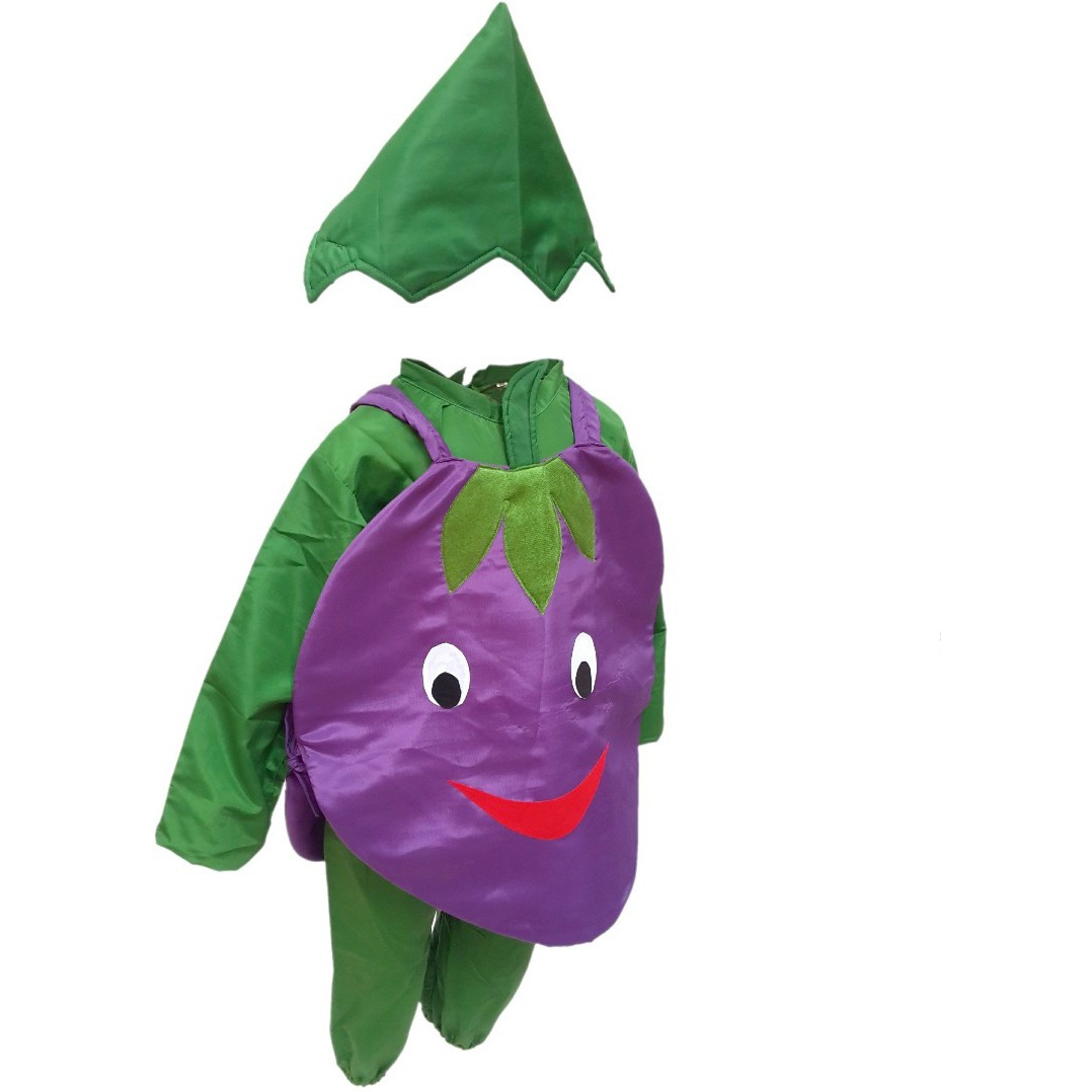 KFD Brinjal fancy dress for kids,Vegetables Costume for School Annual function/Theme Party/Competition/Stage Shows Dress