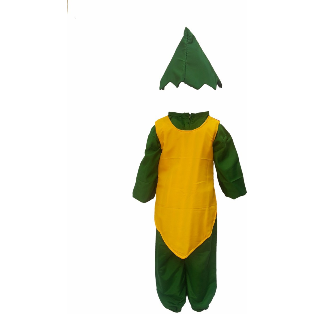 KFD Papaya fancy dress for kids,Fruits Costume for School Annual function/Theme Party/Competition/Stage Shows Dress