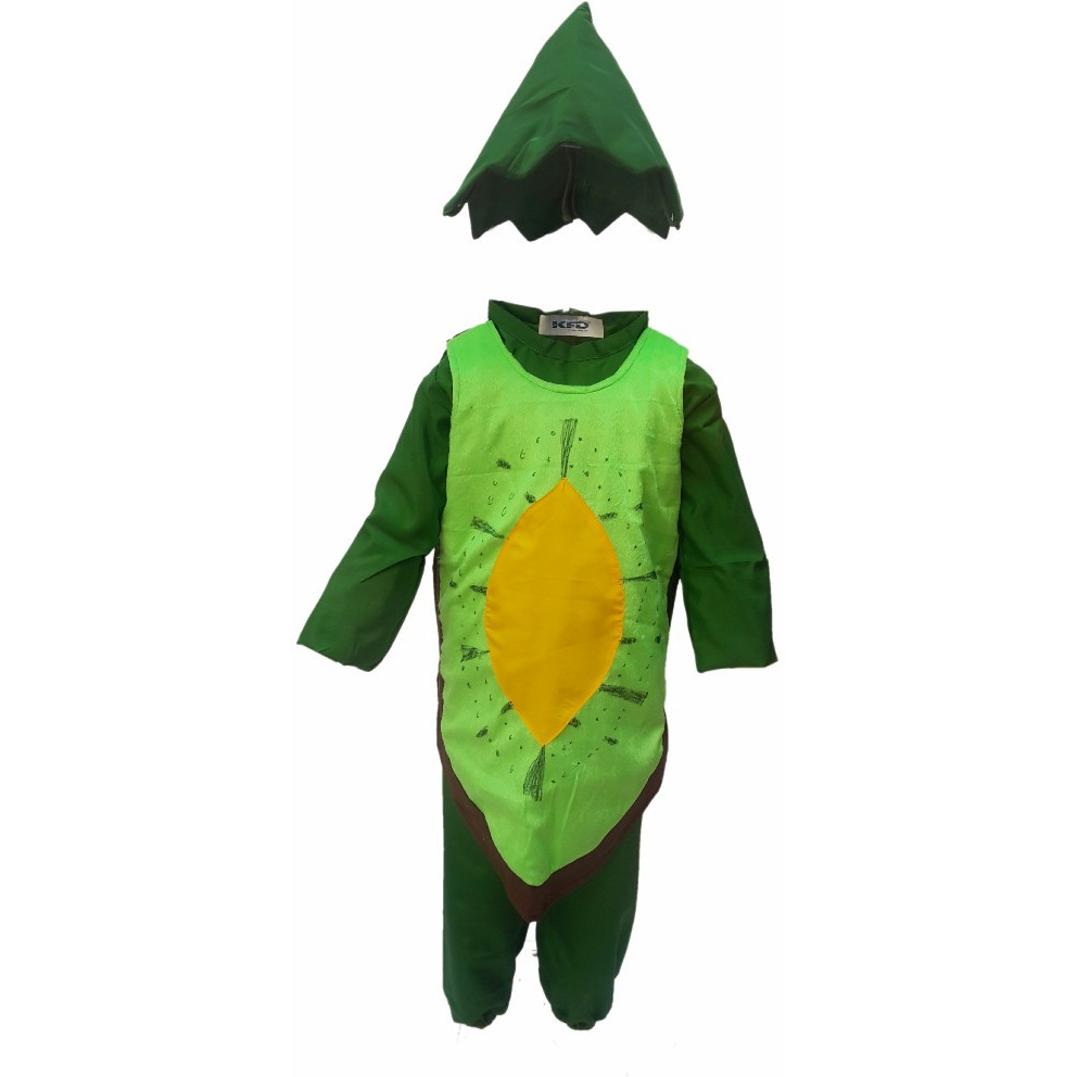 KFD Kiwi fancy dress for kids,Fruits Costume for School Annual function/Theme Party/Competition/Stage Shows Dress