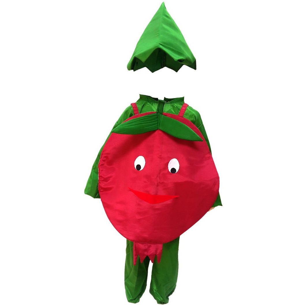 KFD Pomegranate fancy dress for kids,Fruits Costume for School Annual function/Theme Party/Competition/Stage Shows Dress