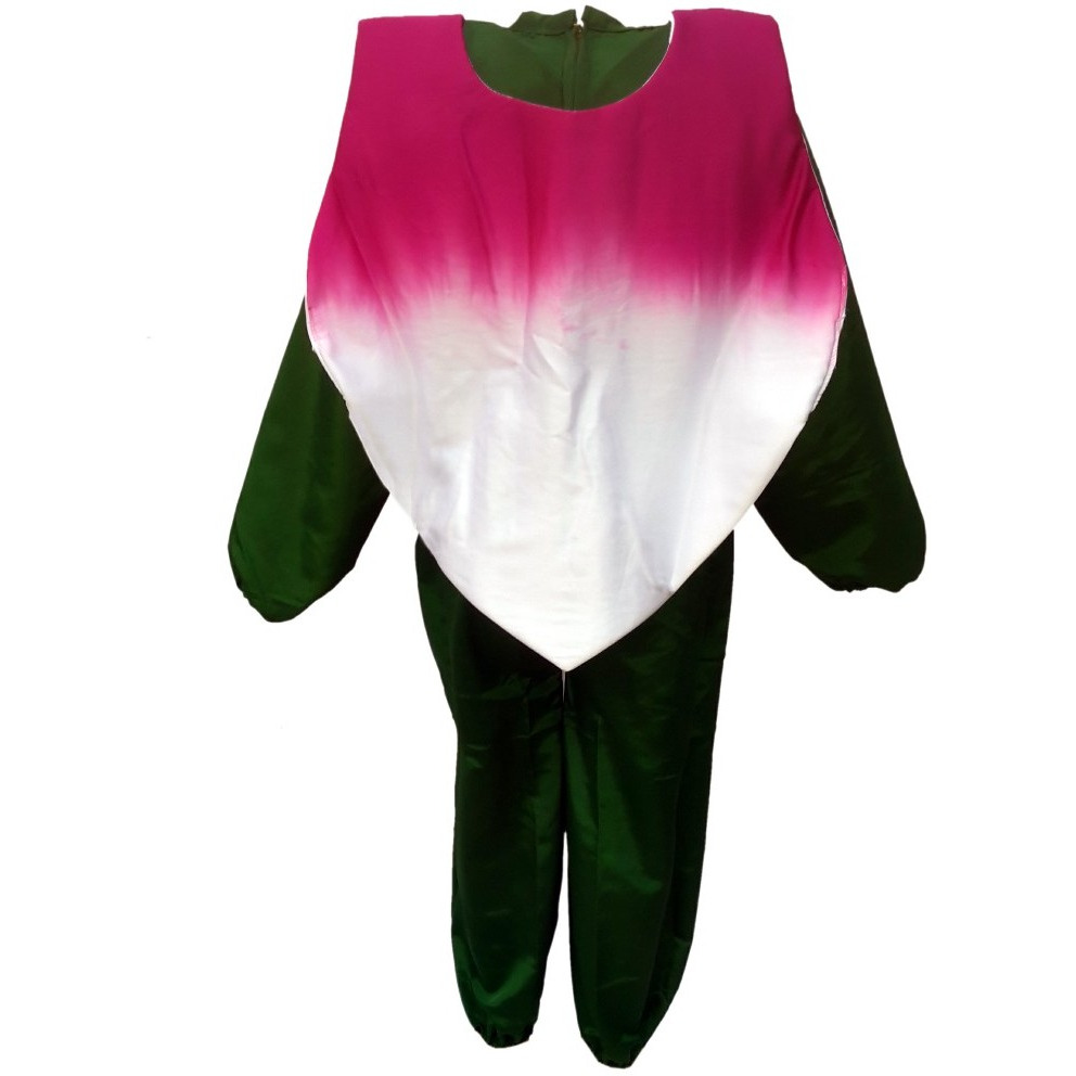 KFD Turnip fancy dress for kids,Vegetables Costume for School Annual function/Theme Party/Competition/Stage Shows Dress