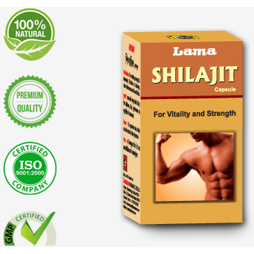 Lama Shilajit 30 Capsule (Size 100 gm)