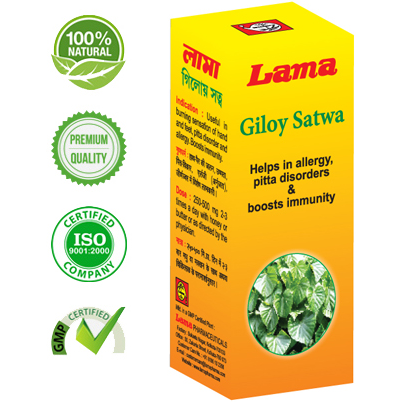 Lama Giloy Satwa 50 gm (Size 50 gm)
