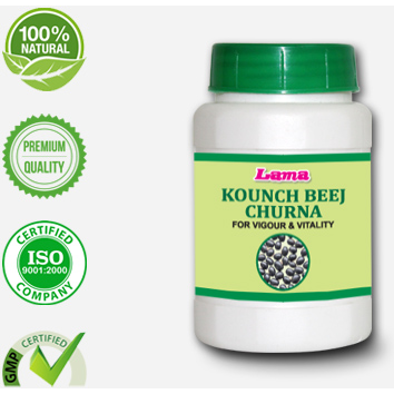 Lama Kounch Beej Churna 100 gm (Size 100 gm)